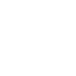 insurance Icon